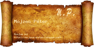 Mojzes Péter névjegykártya